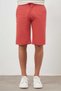Men's Pomegranate Flower Cotton Plain Pattern Dynamic Fit Shorts