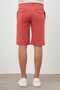 Men's Pomegranate Flower Cotton Plain Pattern Dynamic Fit Shorts - 4