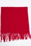 Tasseled Shawl4002 - 5