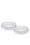 Evora - Set of 2 Transparent Glass Salad and Fruit Bowls - Serving Presentation 18 cm - 4