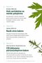 Artemisia Forest Therapy Mask Soothing and Moisturizing Paper Face Mask 5 Pieces 27 ml - 4