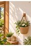Decorative Basket Mini Basket 12X10 cm Plant and Wooden Hanger Not Included