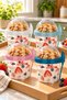 Emilahome Baby "N"Take'N Go 500 ml Feeding Container & Yogurt Container & Food Container - 3