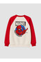 Printed Boys' Thick Sweatshirt - 2