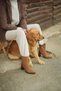 Women's Pointed Toe Thick Heeled Boots Esvon Tan Suede - 6