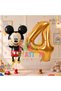 Mickey Mouse 4 Year Old Birthday Set - Concept Balloon and Gold Number Balloon