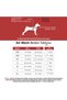 Air-Mesh Small and Medium Breed Cat Dog Harness - Soft, Breathable, Durable Red - 3