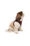 Air-Mesh Small and Medium Breed Cat Dog Chest Collar Soft, Breathable, Durable Burgundy - 8