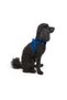Air-Mesh Small and Medium Breed Cat and Dog Chest Harness - Soft, Breathable , Durable Navy Blue - 8