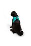 Air-Mesh Small and Medium Breed Cat Dog Harness Soft,Breathable, Durable Turquoise - 9