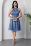 13376 ROCHIE DE TUL SILVERY GULER C - 4