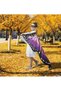 Halloween Butterfly Wings Costume for Womens, Moth Wings Butterfly Cape Adult Costume with Mask & Headband - 4