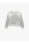 Long Sleeve Crew Neck Sequined Striped Knit Sweater - 5