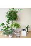 Automatic Watering System, Digital Programmable Drip Irrigation Kit for Potted Plants, Garden, Flowe - 3