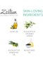 Authentic Clarifying Beldi Soap - Traditional Moroccan Body Soap - Black Seed Oil Soap - Exfoliating Olive Oil Soap Made With Eucalyptus and Castor & Coconut Oils 8.5 oz - 5