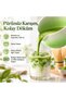 6 Piece Matcha Preparation Set 530 ml Ceramic Bowl Bamboo Whisk Stand and Strainer Green White - 2