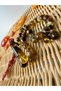 High-End Fossilized Amber - 4