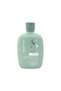 Semi Dilino Scalp Rebalance Oily Skin Balancing Shampoo 250 Ml