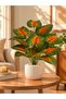 Artificial Sunlit Monstera Plant 75 cm – 18 Leaves – Indoor & Outdoor – Plant Only, No Pot - 6
