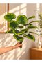 Artificial Lines Monstera Plant 75 cm – 18 Leaves – Indoor & Outdoor – Plant Only, No Pot - 3