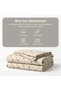 3 Pieces Flat Bedsheet Set with Floral Pattern King Size Bed Pillow Cover Set with 1 Bedsheet, 2 Pillow. Bedding Set (Light Cream rose, King (U.K. Standard)) - 4