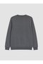 Özmarka New Season Gray Crew Neck Men's Thick Sweatshirt - 8