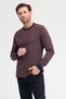 Men's Crew Neck Long Sleeve Sweatshirt - 4