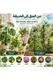30 قطعة من دعامات النباتات القابلة للتكديس، دعامات نباتات مونستيرا قابلة للتركيب، أعمدة تسلق داخلية مع مشبك - 7