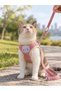 Pet Teddy Bear Patterned Plaid Chest Harness - Set Leash