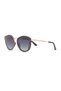 Ds 2545 C1 Women's Sunglasses
