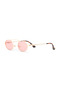 Ds 2547 C3 Unisex Sunglasses