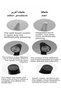Ceamere Portable LED Table Lamp, Touch Control LED Table Lamp, Modern Design Table Lamp, Rechargeabl - 5