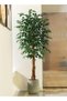 Zvezvia Artificial Ficus Trees with White Pot – 120cm/150cm/180cm Faux Plant Fake Silk Trees with Fa - 3