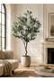 Zvezvia Premium Artificial Olive Tree with Twisted Trunk & Realistic Fruits for Indoor Home & Office