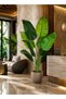 Zvezvia Artificial Banana Tree, Featuring Large Simulated Tropical Leaves With Adjustable Stems For - 2