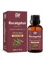 ALIF NATURALS Eucalyptus Essential Oil - 30 ml | 100% Pure and Natural | Premium Grade Essential Oil