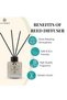 Litore Diamond Reed Diffuser, Best Diffuser Aromatherapy Perfume, Home Fragrance, Oil Diffuser & Ree - 5