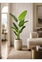 Zvezvia Artificial Banana Tree, Featuring Large Simulated Tropical Leaves With Adjustable Stems For