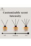 Litore Reed Diffuser - Amber Fragrance, 100ml | Long-Lasting Home Fragrance | Natural & Elegant Room - 4