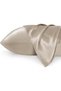 GigiLily 2-Pack Luxurious Mulberry Silk Pillowcases,20 Momme Satin Weave, Hypoallergenic Solid Color