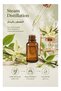 ETHARO Vanilla Essential Oil 30ml – Naturally Distilled Aromatic Oil with a Soft, Creamy Sweet Aroma - 3