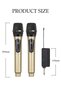 DUNISO 2Pcs Wireless Microphone，1 to 2 Microphones，Hand Microphone，Rechargeable Microphone，Professio - 2