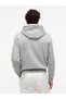 Men's Brand Logo Gray Sweatshirt Suitable for Daily Use - 3