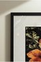 1 Piece Pvc Framed Black Wooden Frame Minimalist Dark Theme Still Life Rose Square Wooden Painting - Home, Business and Office Decoration Painting - 6