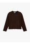 Women Brown Plain Crew Neck Long Sleeves Top - 3