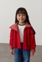 High Collar Plaid Detailed Jacket Red - 4