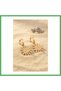 316L Steel Gold Color Sun Model Eye Embroidery Women's Earrings Bezoss