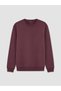 Zero Roba Collar Men's Sweatshirt from Uzg Store for Style Enthusiasts - 2