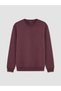 Zero Roba Collar Men's Sweatshirt from Uzg Store for Style Enthusiasts