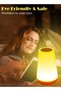 Home Care Night Light, Dimmable with Timer,Touch Sensor, Remote Control and USB Rechargeable Touch - 2
